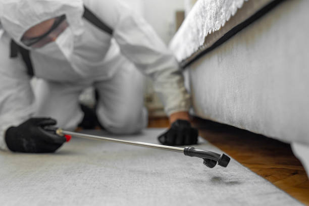 Professional Bed Bug Control technician working in Lakeport, TX